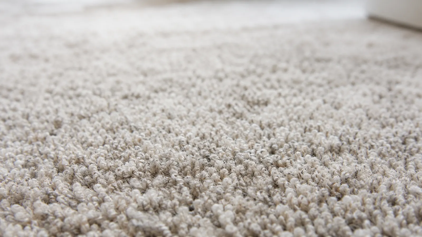 Close-up of clean carpet fibers after enzyme treatment, no visible residue.